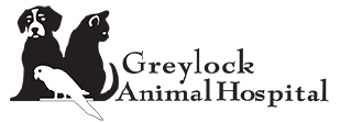 Link to Homepage of Greylock Animal Hospital