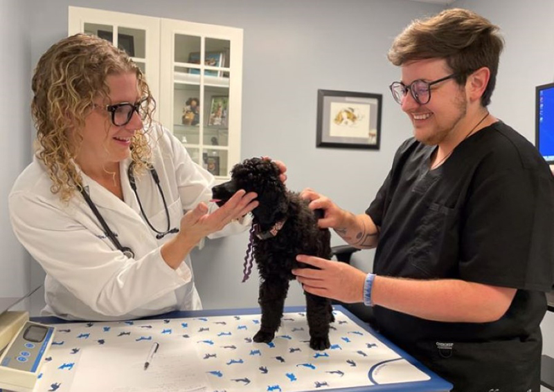 Carousel Slide 2: wellness exam